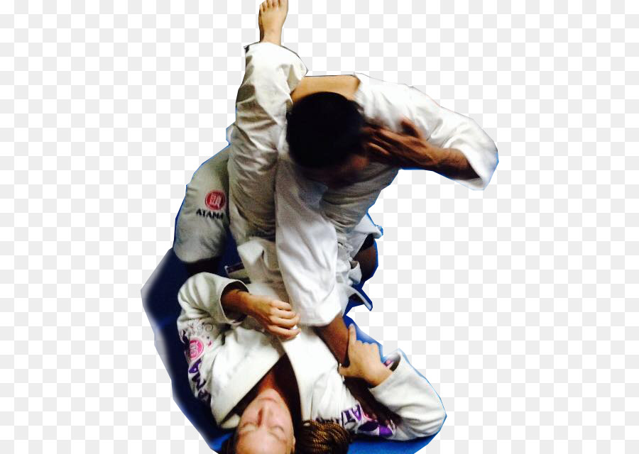 Jiujitsu Brasileño，Hapkido PNG