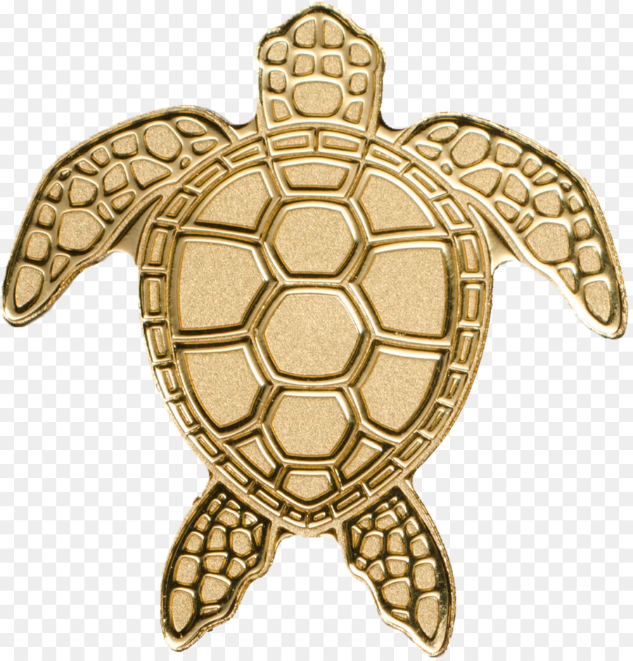 Tortuga，Tortuga De Mar PNG