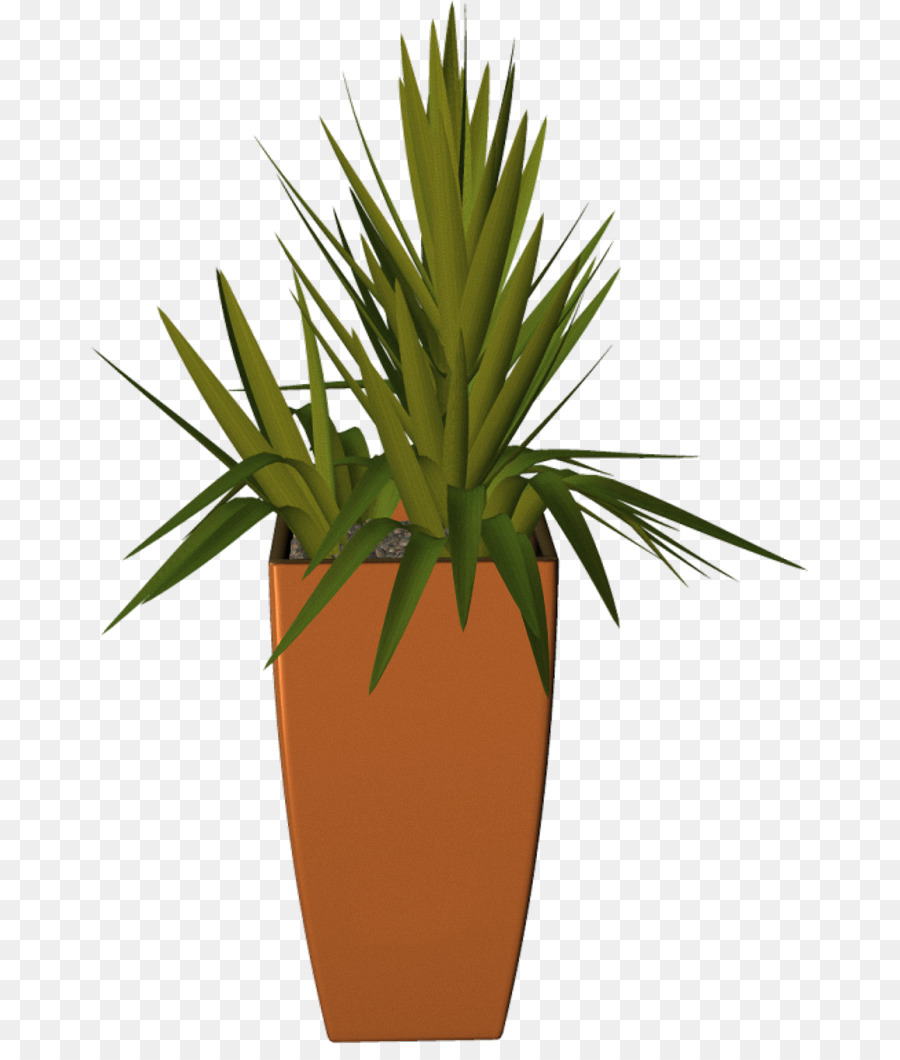 Maceta，Planta PNG