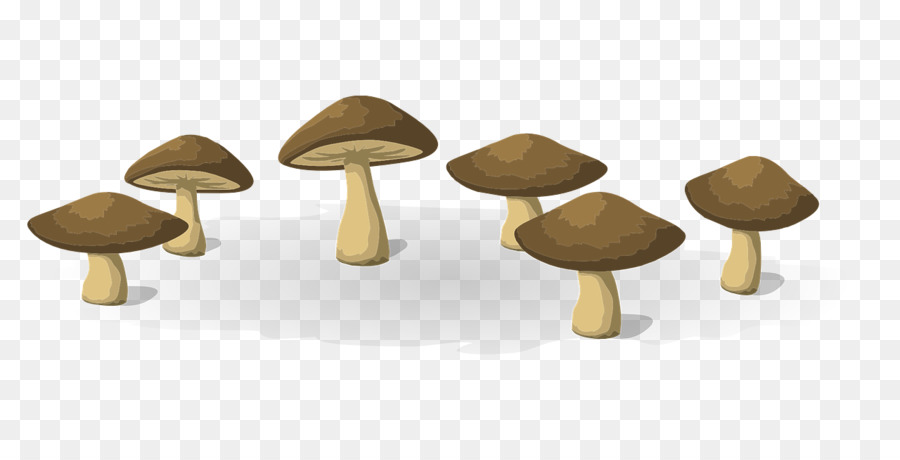 Hongos，Naturaleza PNG