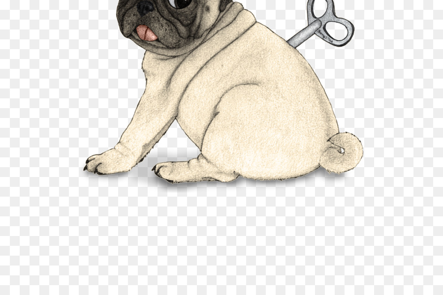 Pug，Cachorro PNG