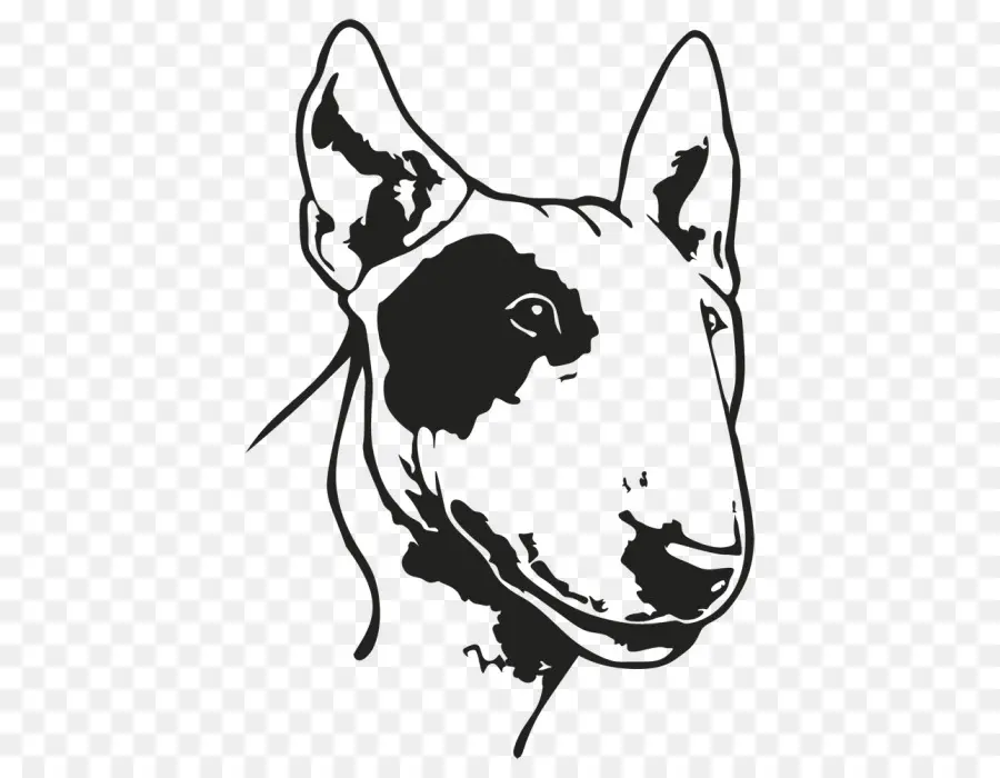 Raza De Perro，Bull Terrier PNG