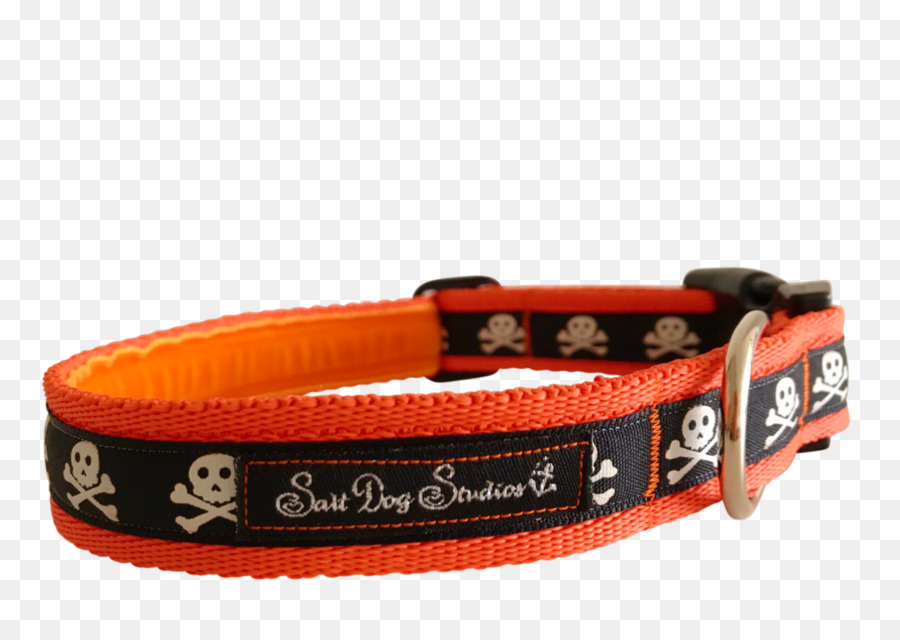 Perro，Collar De Perro PNG