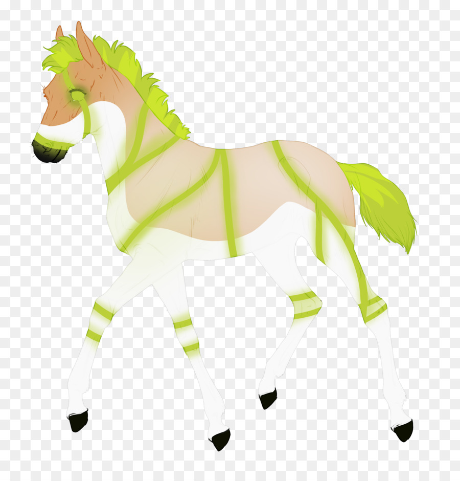 Pony，Mustang PNG