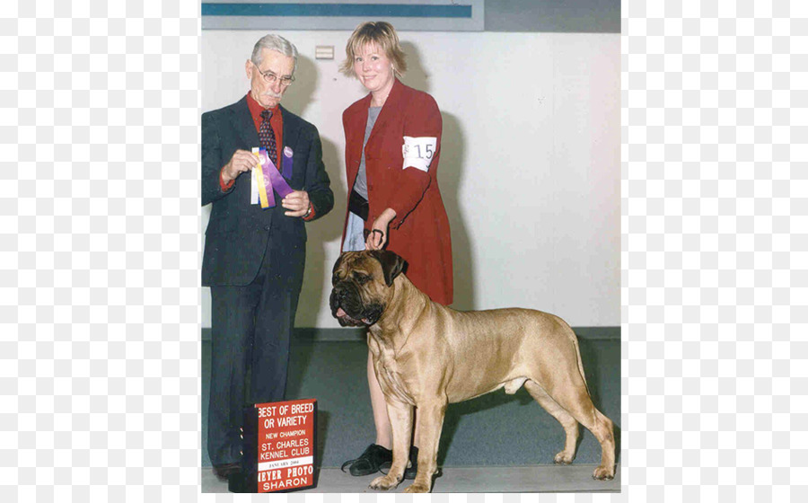 Raza De Perro，Bullmastiff PNG