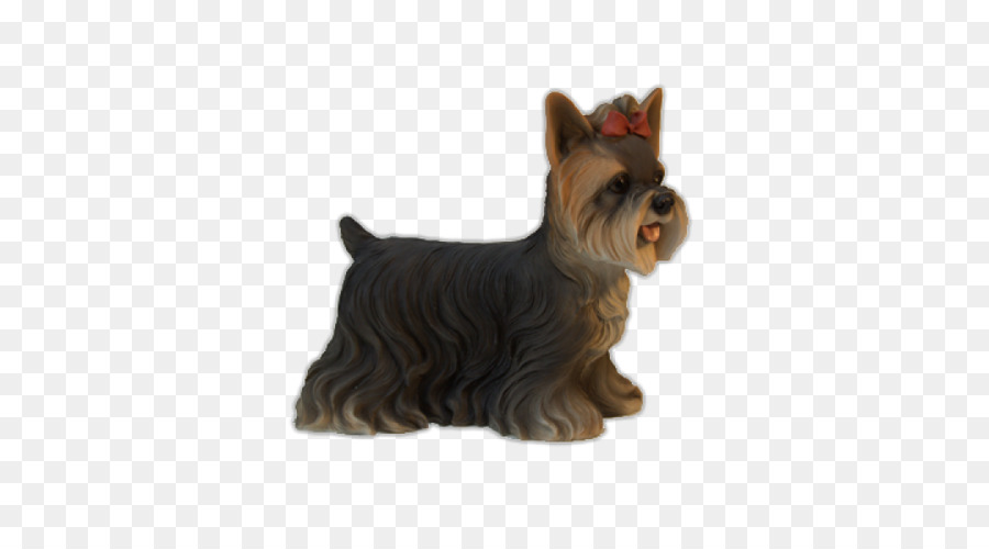 Yorkshire Terrier，Scottish Terrier PNG