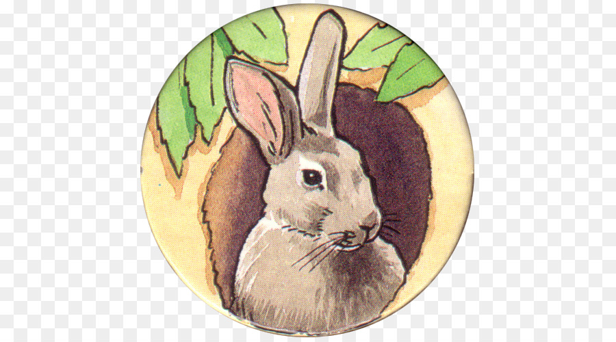 Nacionales De Conejo，Conejito De Pascua PNG