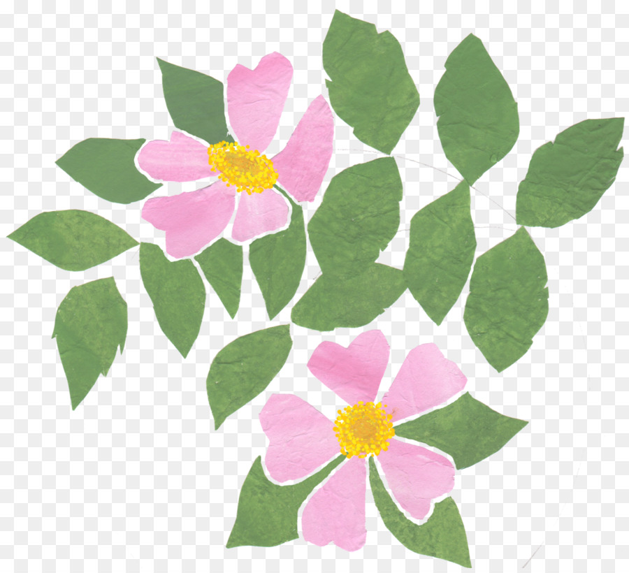 Diseño Floral，Rosa M PNG