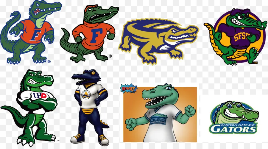 Los Gators De Florida De Fútbol，Los Gators De Florida De Béisbol PNG