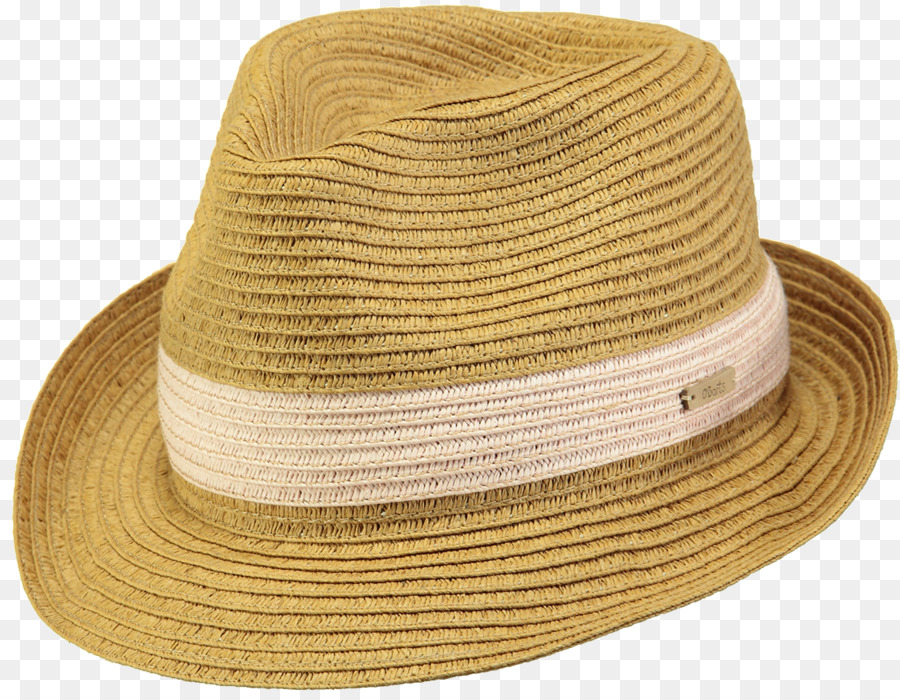 Fedora，Tapa PNG