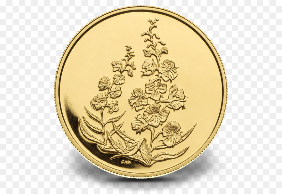 Oro，Moneda PNG