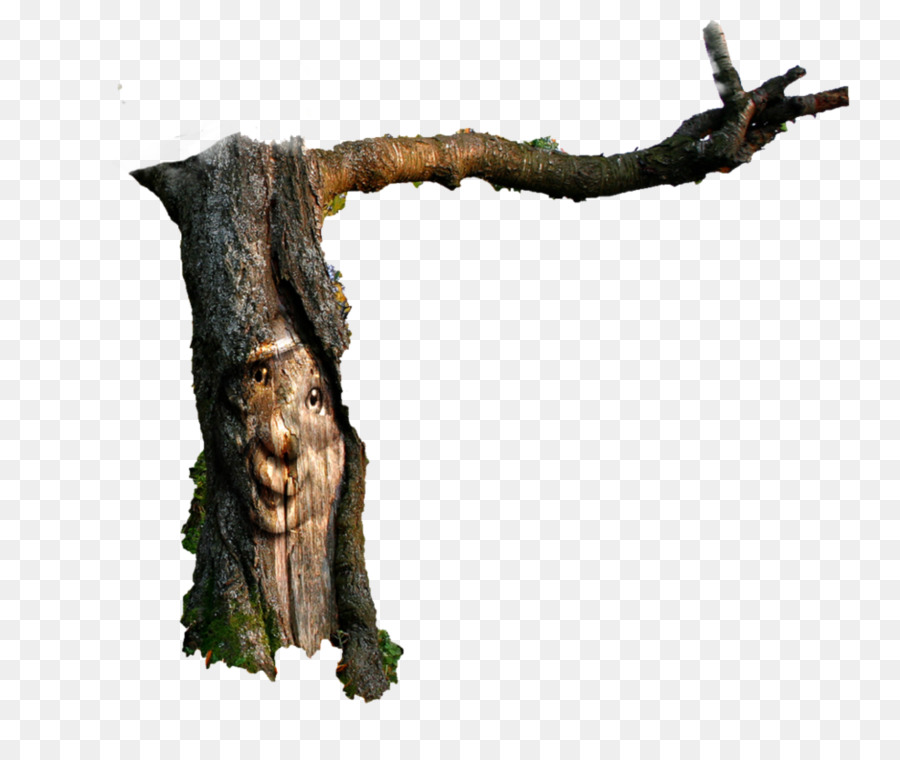 Tronco De árbol，Árbol PNG