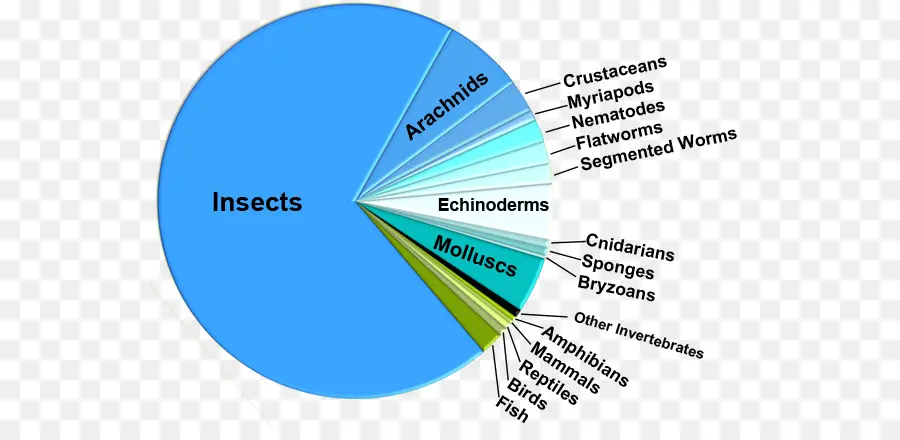 Gráfico Circular，Los Insectos PNG