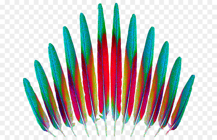 Plumas Coloridas，Vistoso PNG