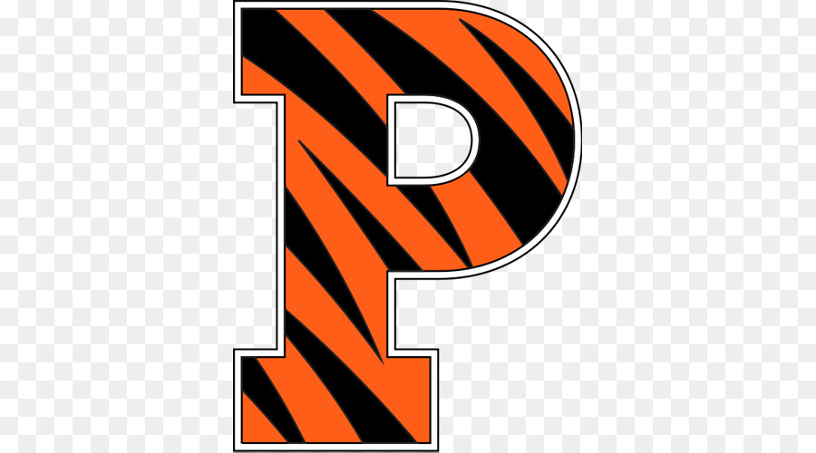 La Universidad De Princeton，Princeton Tigers Baloncesto Masculino PNG