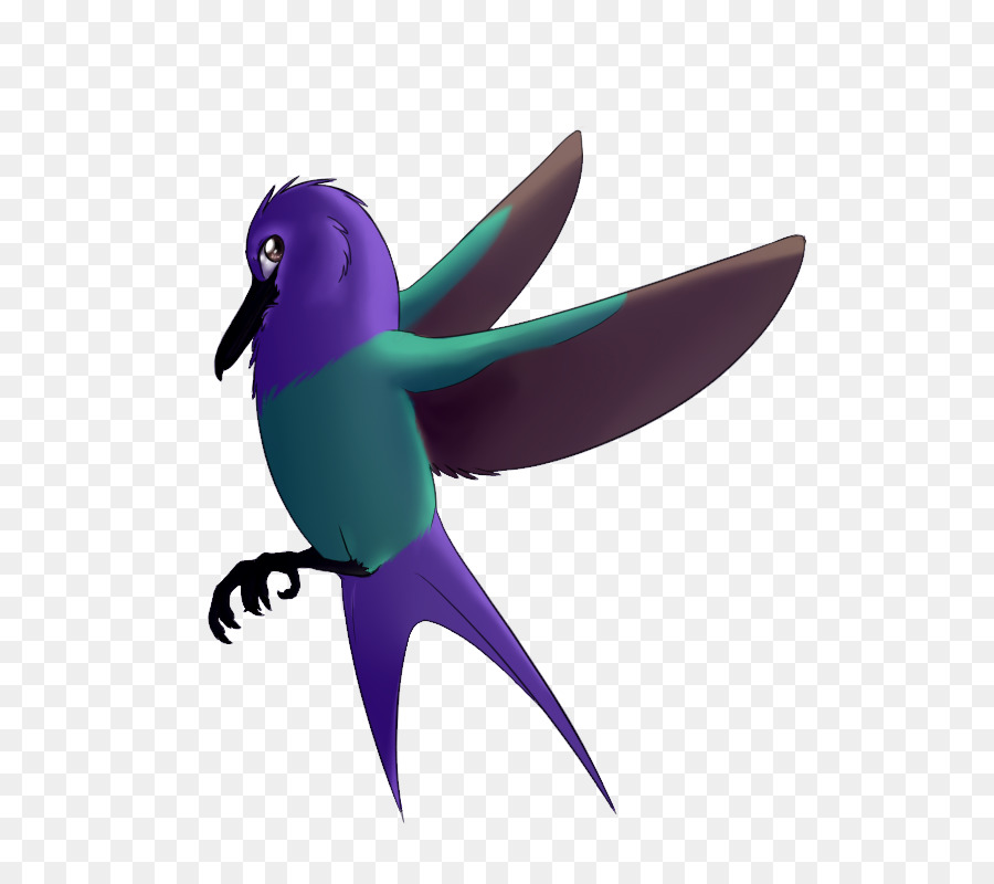 Colibrí，Colibrí M PNG