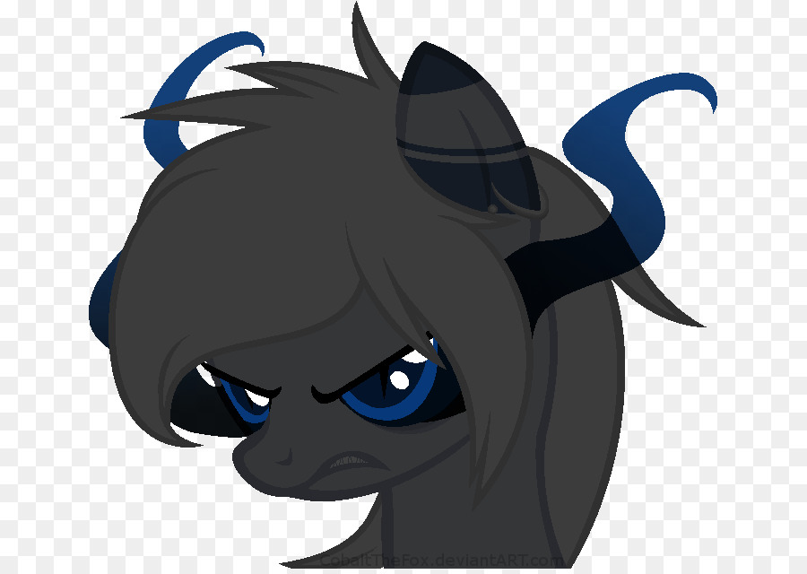 Gato，Caballo PNG