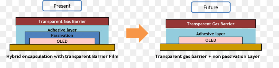 Oled，La Película Fotográfica PNG