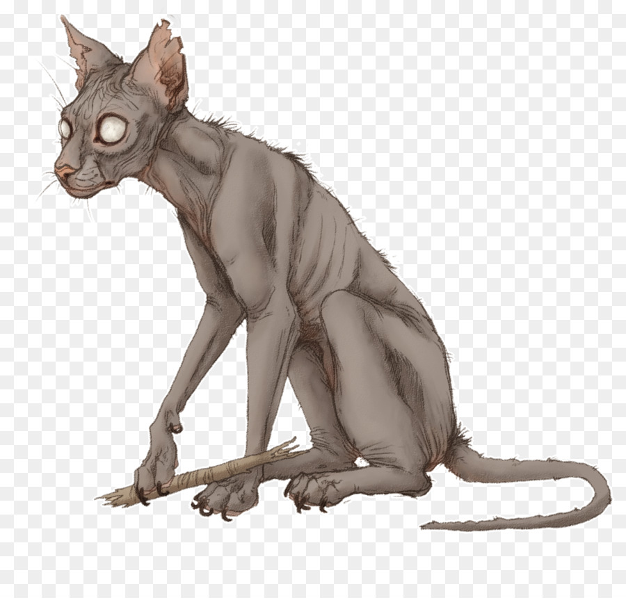 Peterbald，Bigotes PNG