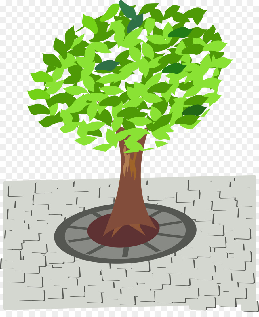 Árbol，Iconos De Equipo PNG