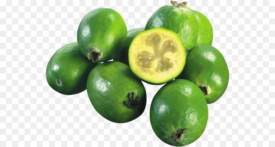 Feijoa，Verde PNG