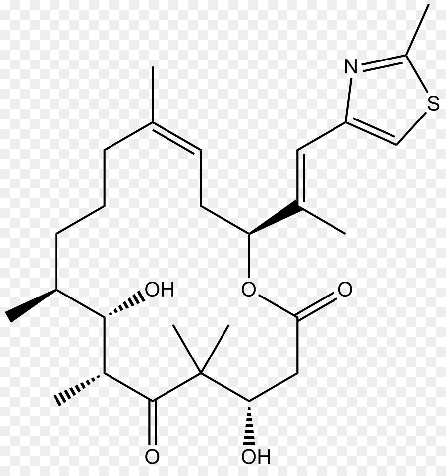 Epotilona，Microtúbulos PNG