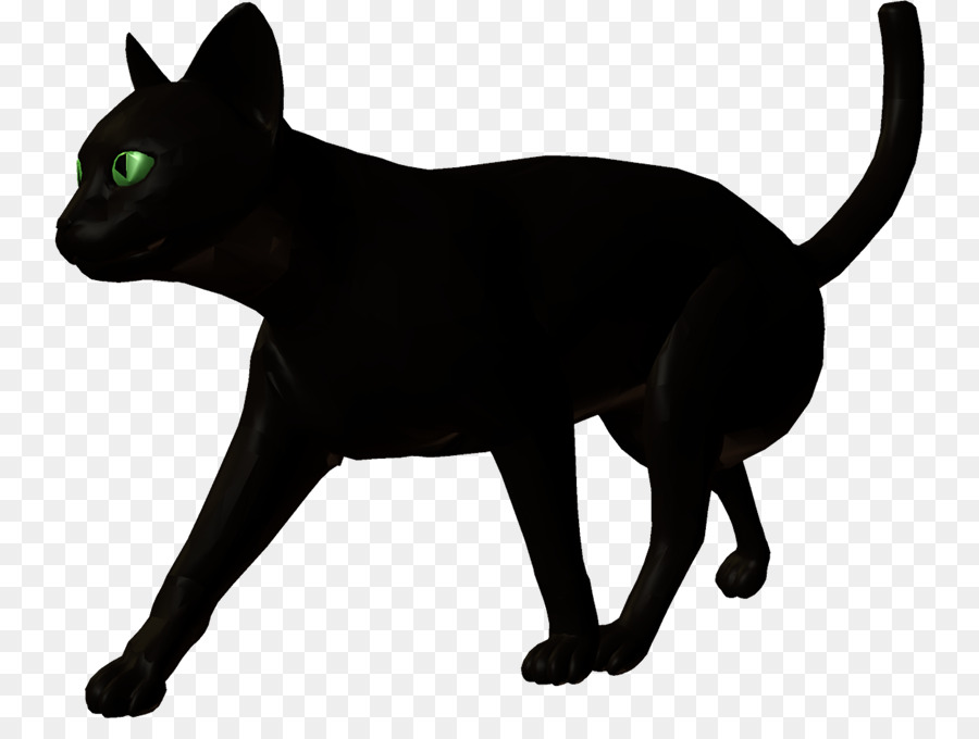 Gato Negro，Bombay Gato PNG