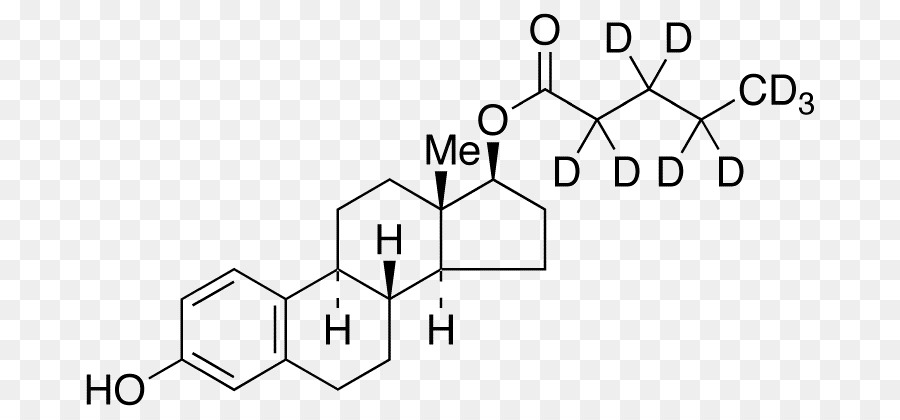 Estradiol，Estrógeno PNG