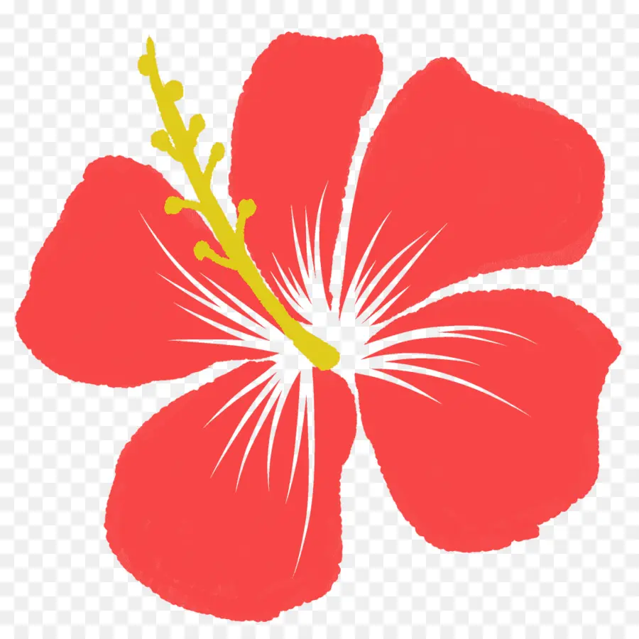 Hibisco，Rojo PNG