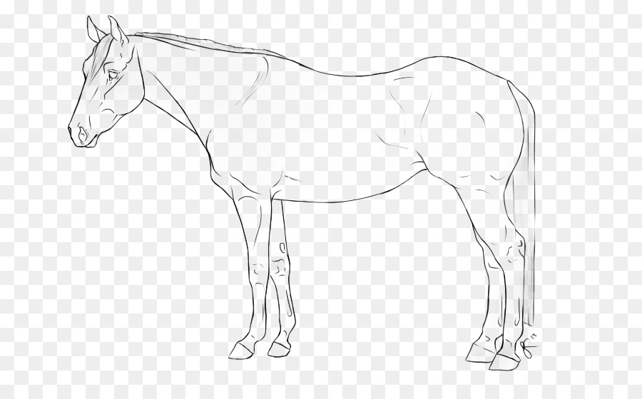 Dibujo De Caballo，Animal PNG