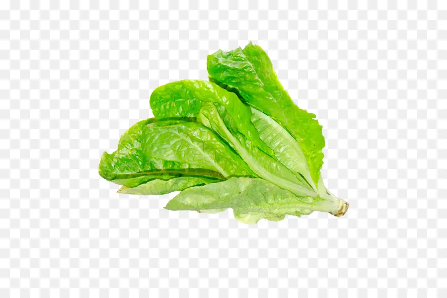 Hoja，Planta PNG