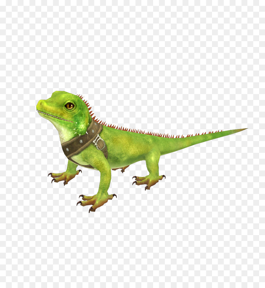 Común Iguanas，Los Camaleones PNG