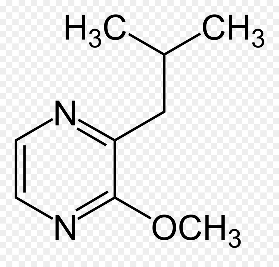 Estructura Química，Molécula PNG