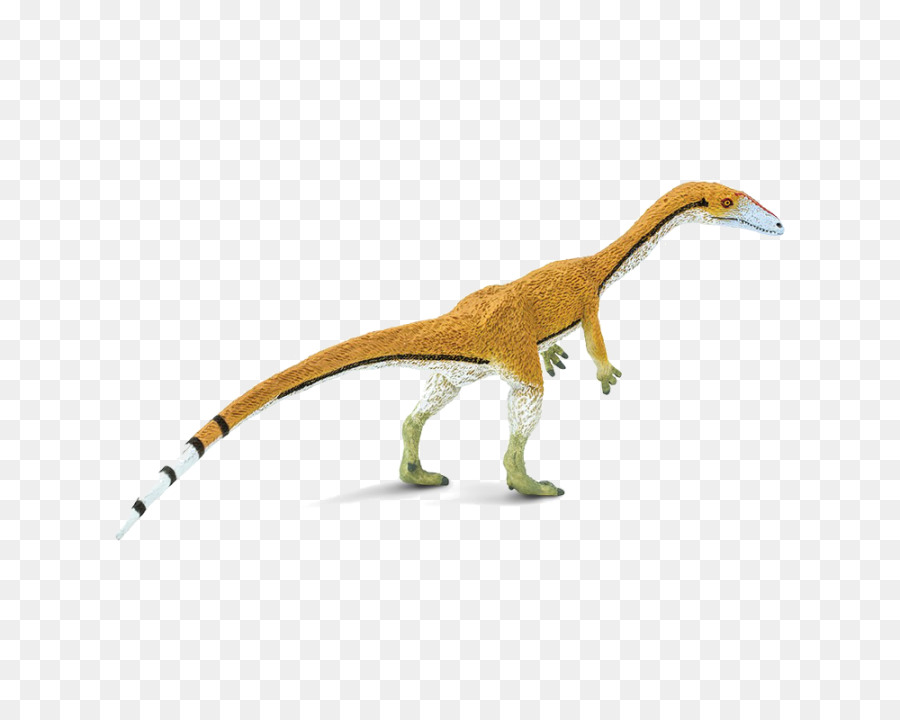 Coelophysis，Tyrannosaurus PNG