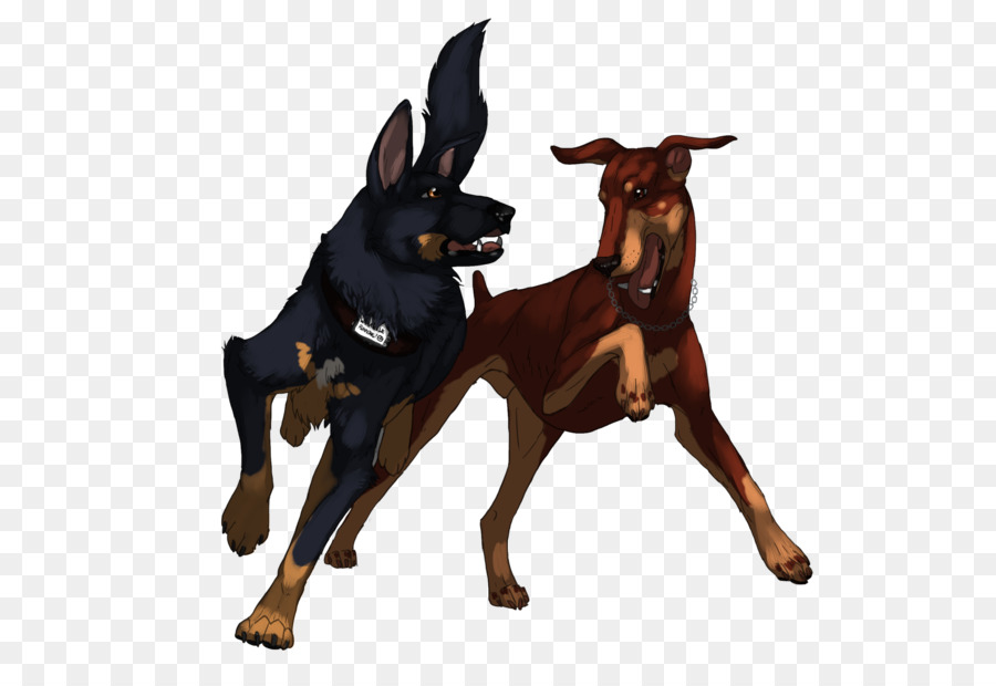 Dobermann，Pinscher Miniatura PNG