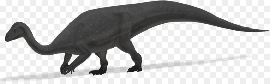 Gato，Mussaurus PNG