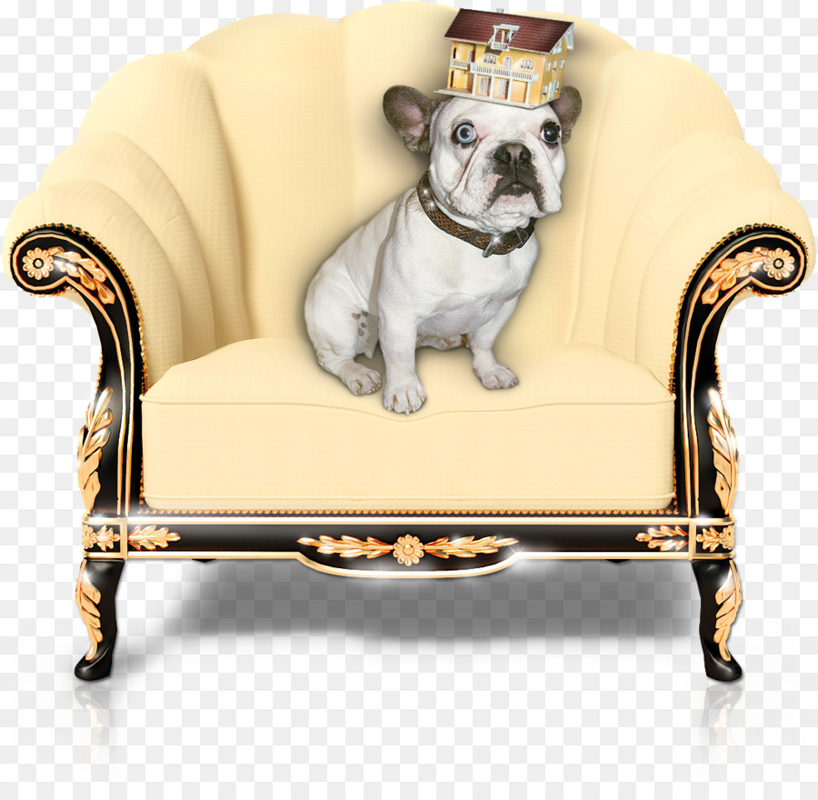 Silla，Nueva Era Furnishers PNG