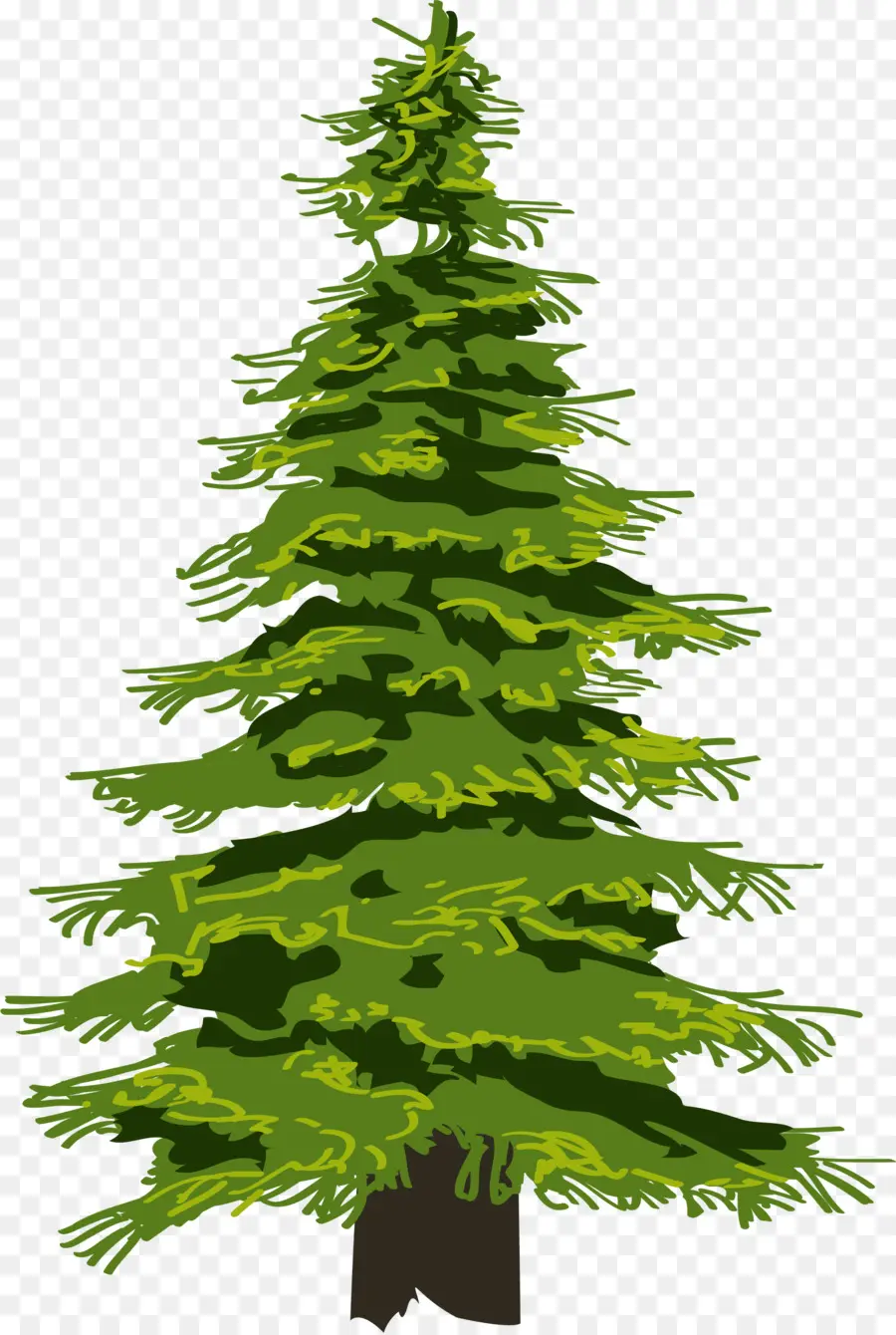 Pino，árbol PNG