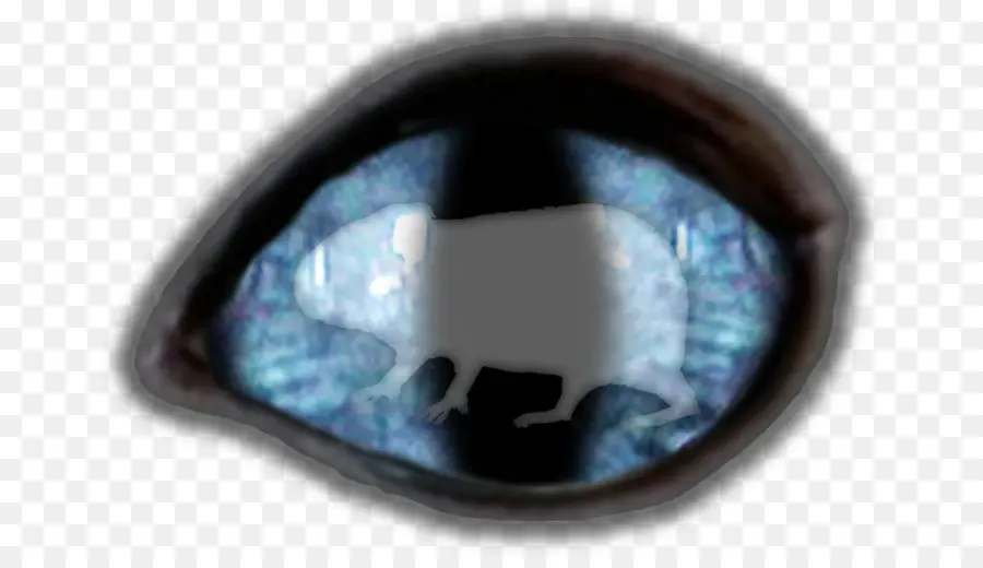 Ojo，Azul PNG