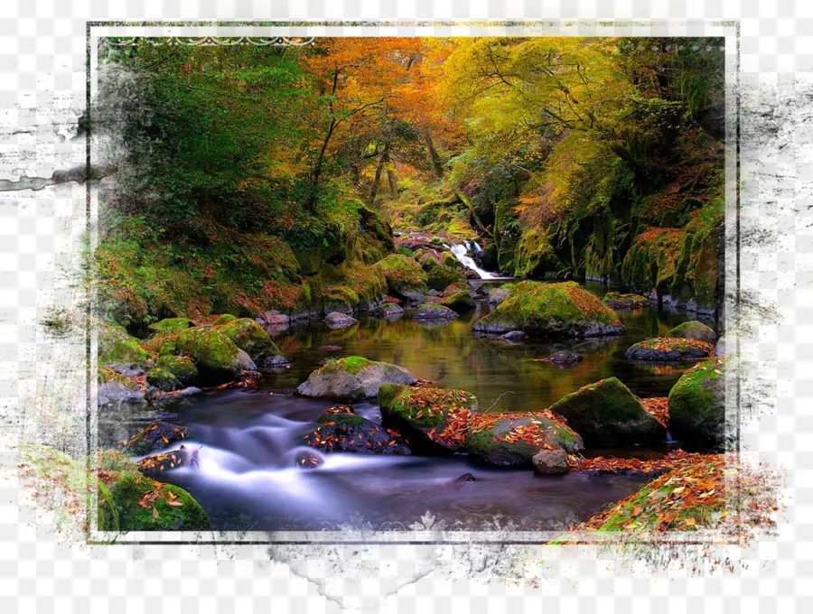 Arroyo Del Bosque，Agua PNG