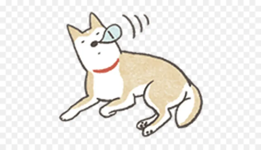 Bigotes，Shiba Inu PNG