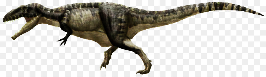 Tyrannosaurus，Gigantosauro PNG