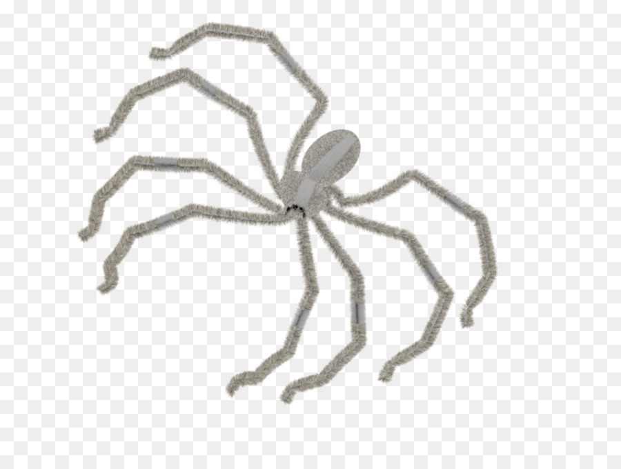 Araña，Arácnido PNG