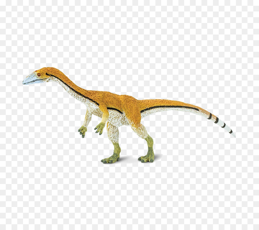 Velociraptor，Coelophysis PNG