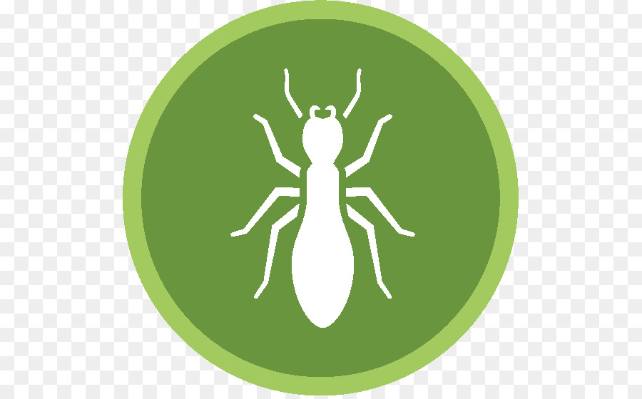 Cucaracha，Control De Plagas PNG