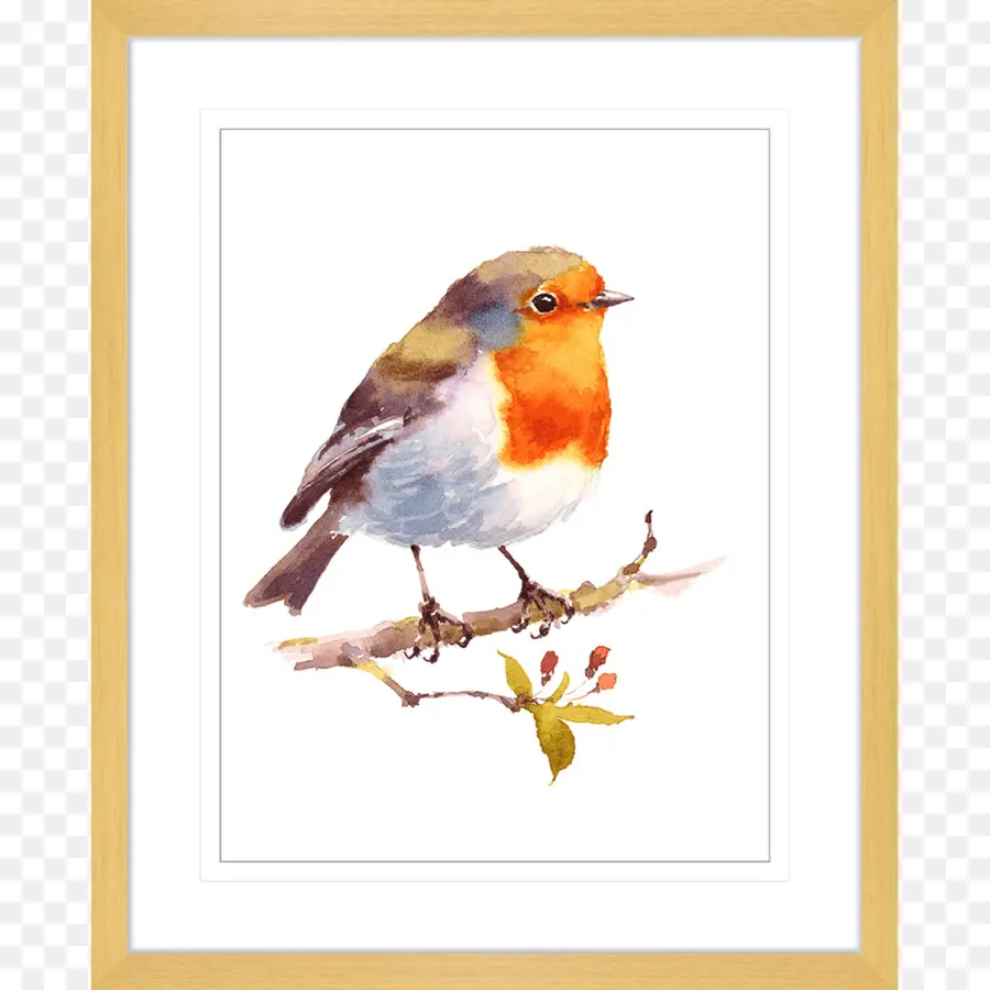 Pintura De Aves，Marco PNG