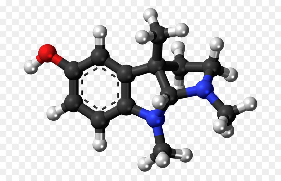 La Serotonina，La Química PNG