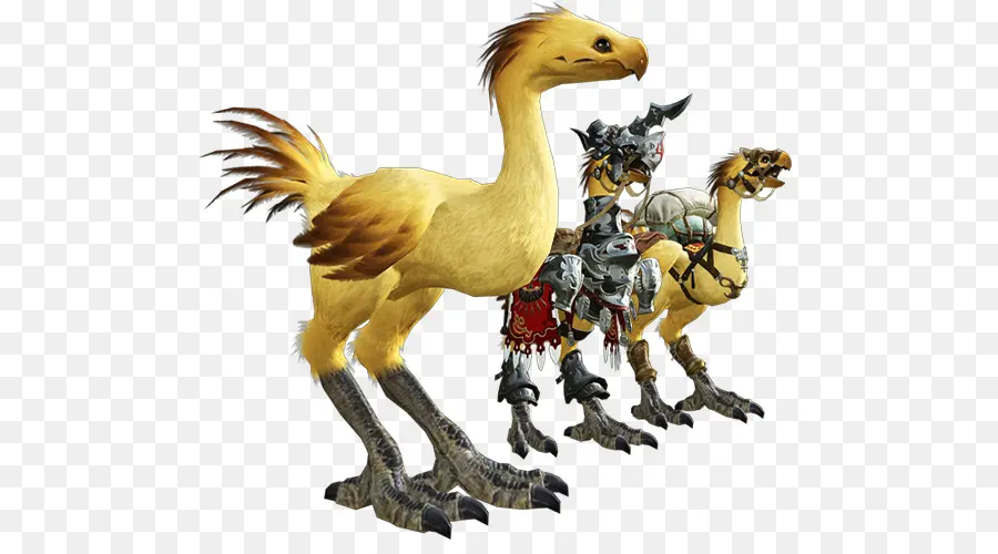 Chocobos Amarillos，Pájaros PNG