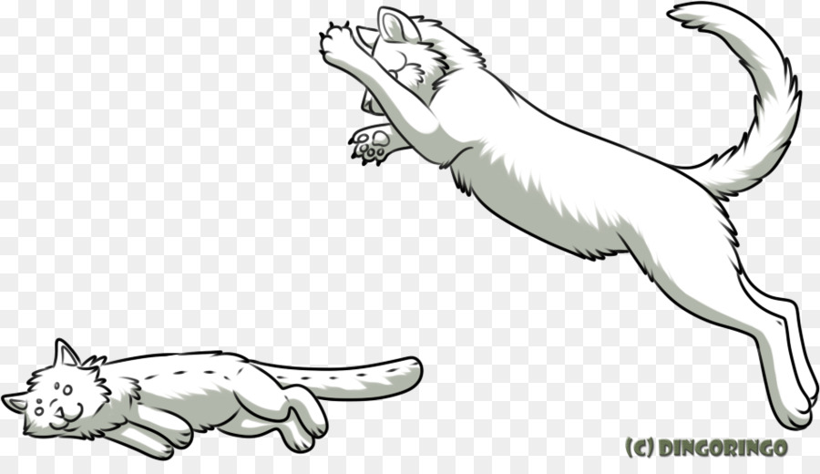 Gato，Perro PNG