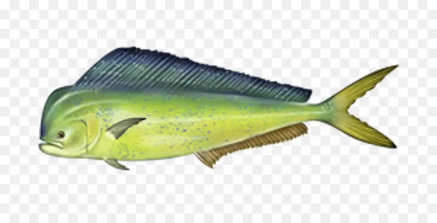 Mahi，La Pesca PNG